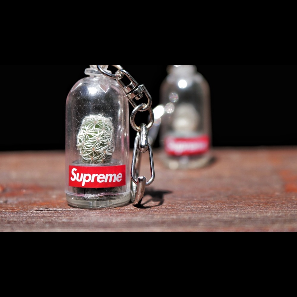 Supreme Cactus Keychain